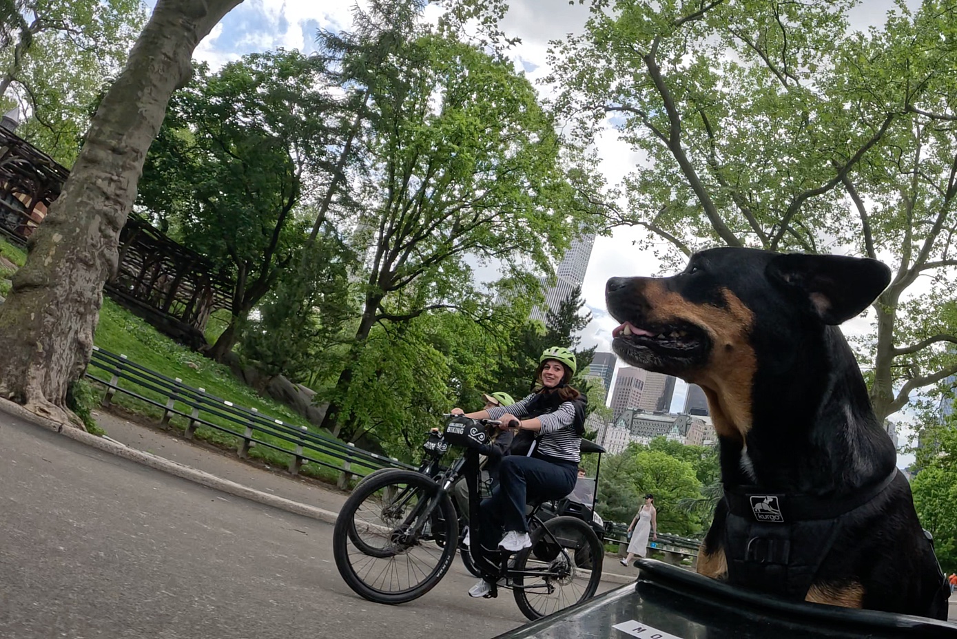 Patrol photo from Central Park on 2025-05-10T00:00:00.000Z