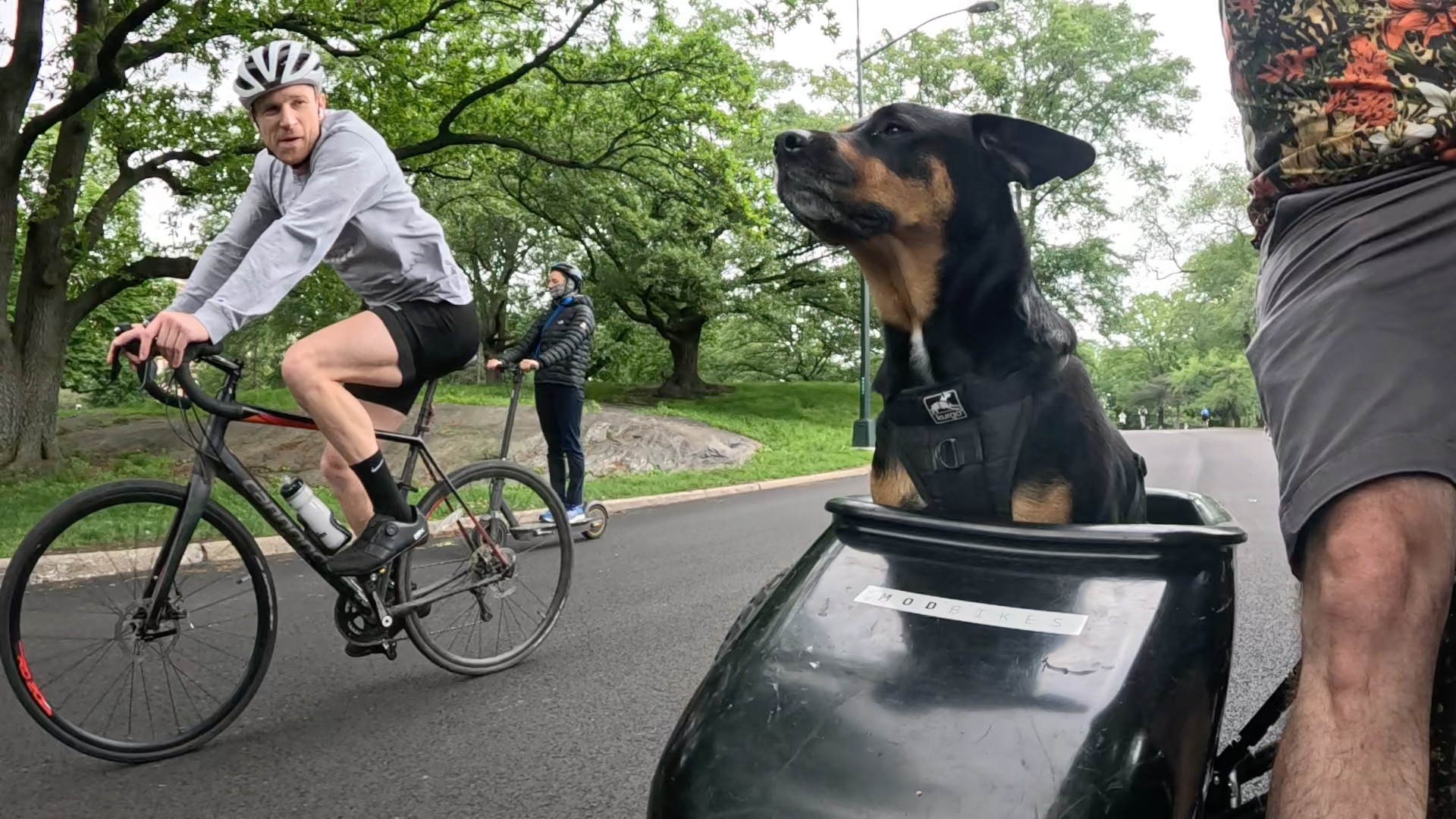 Patrol photo from Central Park on 2025-05-24