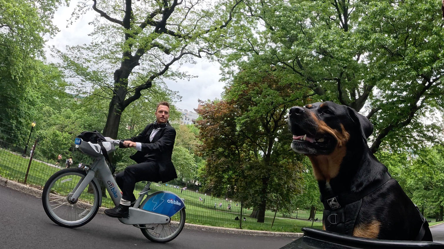 Patrol photo from Central Park on 2025-05-10