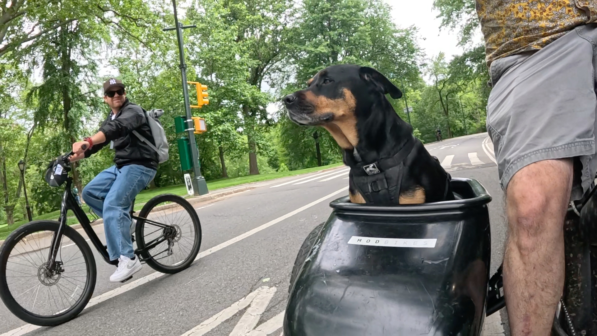 Patrol photo from Central Park on 2025-05-26