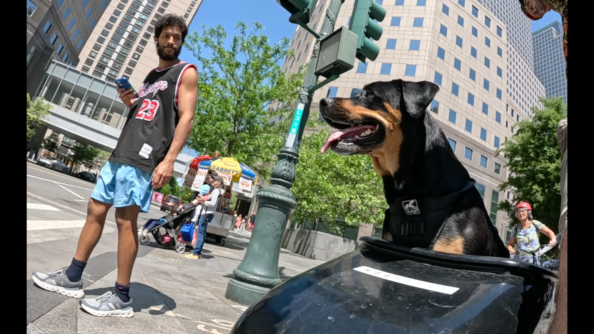 Patrol photo from Central Park on 2025-05-11