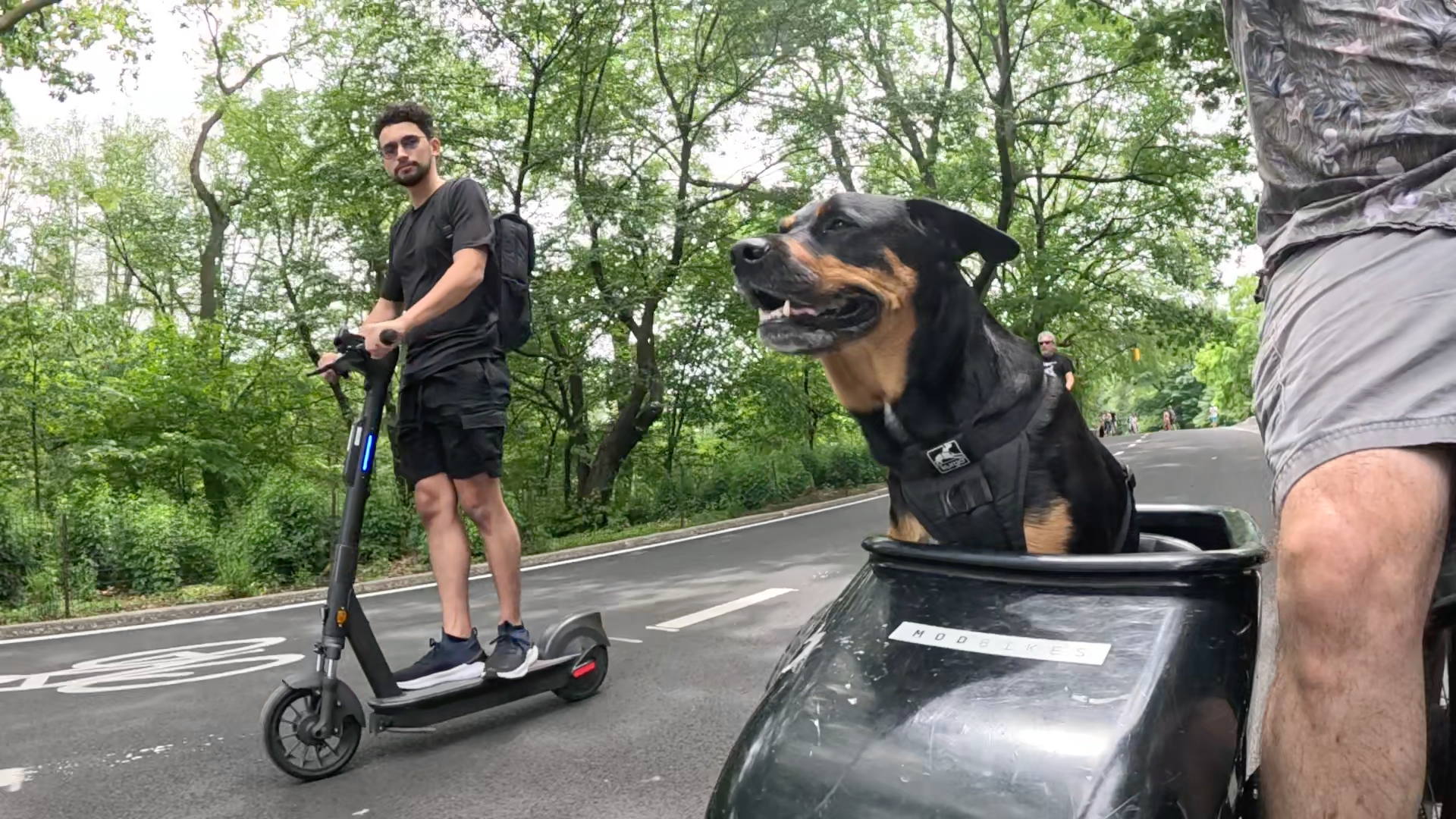 Patrol photo from Central Park on 2025-05-27