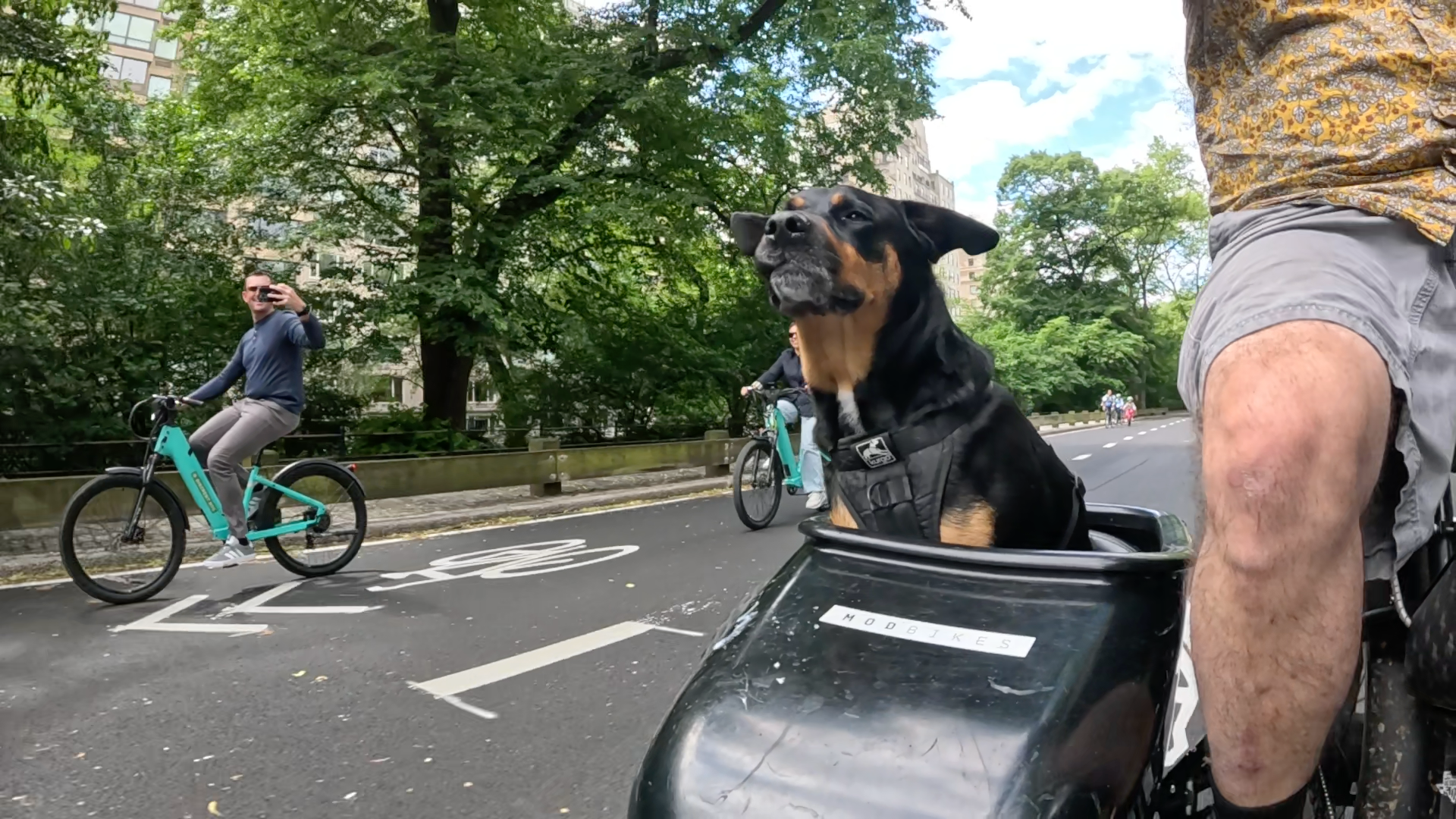 Patrol photo from Central Park on 2025-05-26