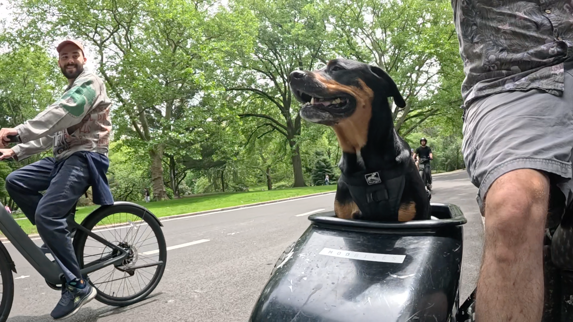 Patrol photo from Central Park on 2025-05-27