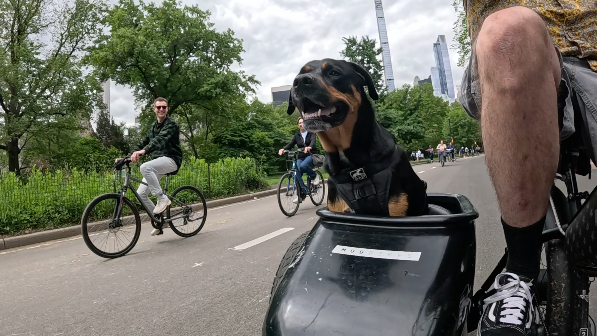 Patrol photo from Central Park on 2025-05-26
