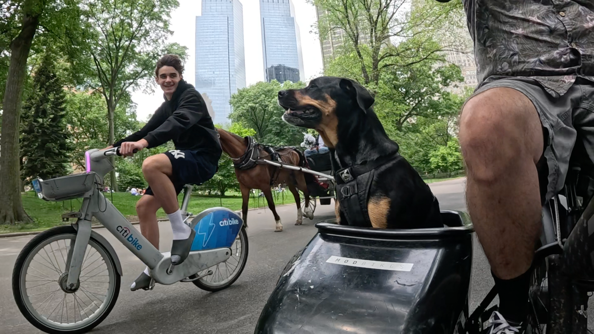 Patrol photo from Central Park on 2025-05-27