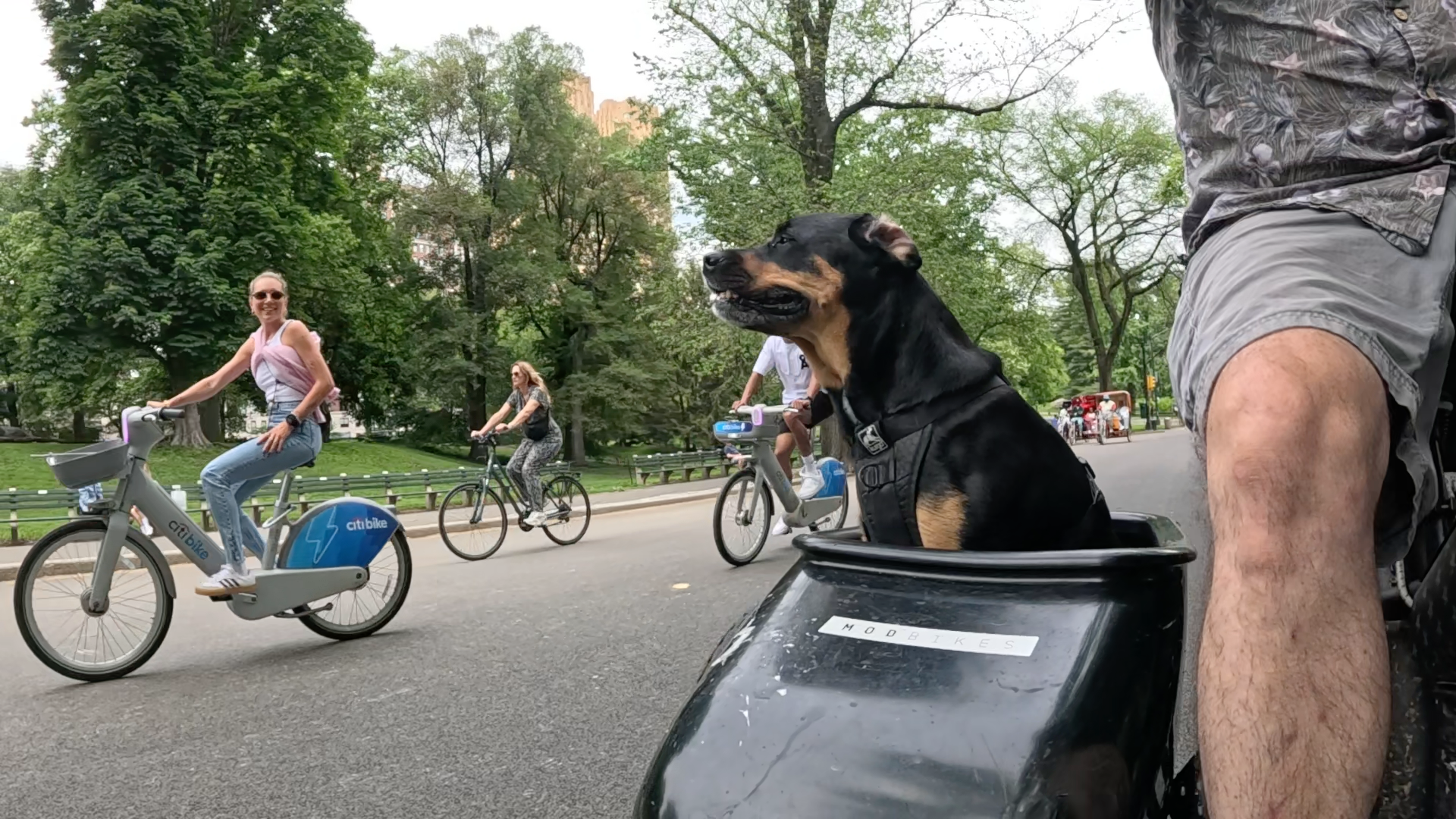 Patrol photo from Central Park on 2025-05-27