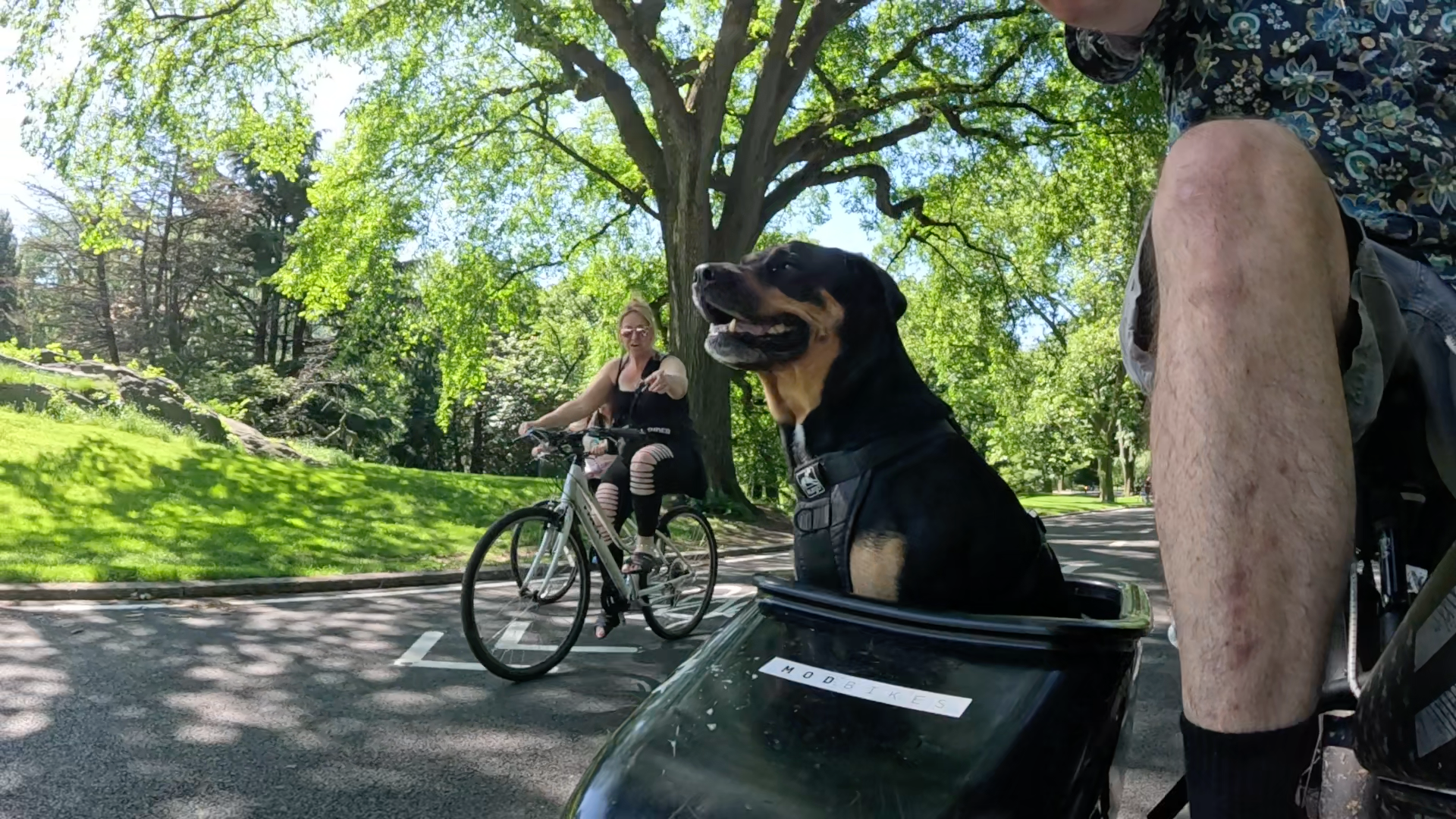 Patrol photo from Central Park on 2025-05-26