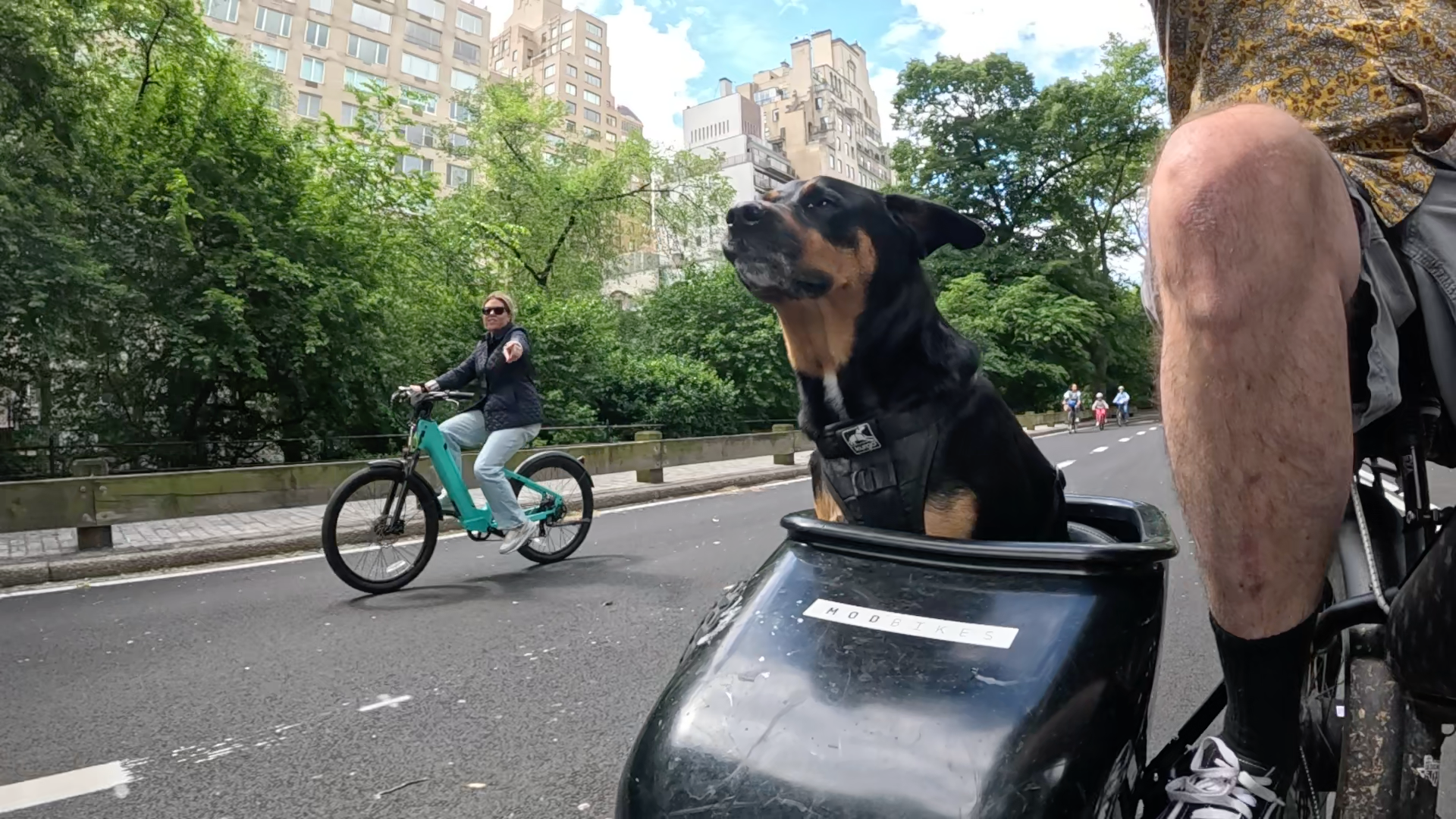 Patrol photo from Central Park on 2025-05-26