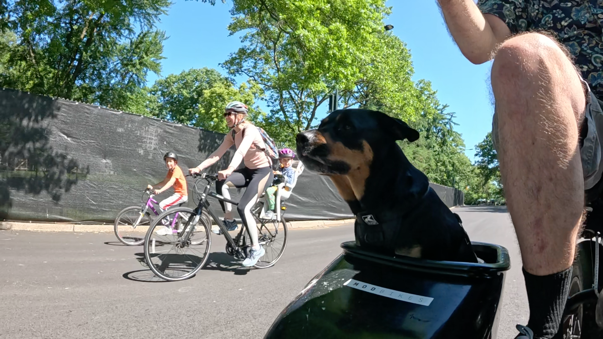 Patrol photo from Central Park on 2025-05-26