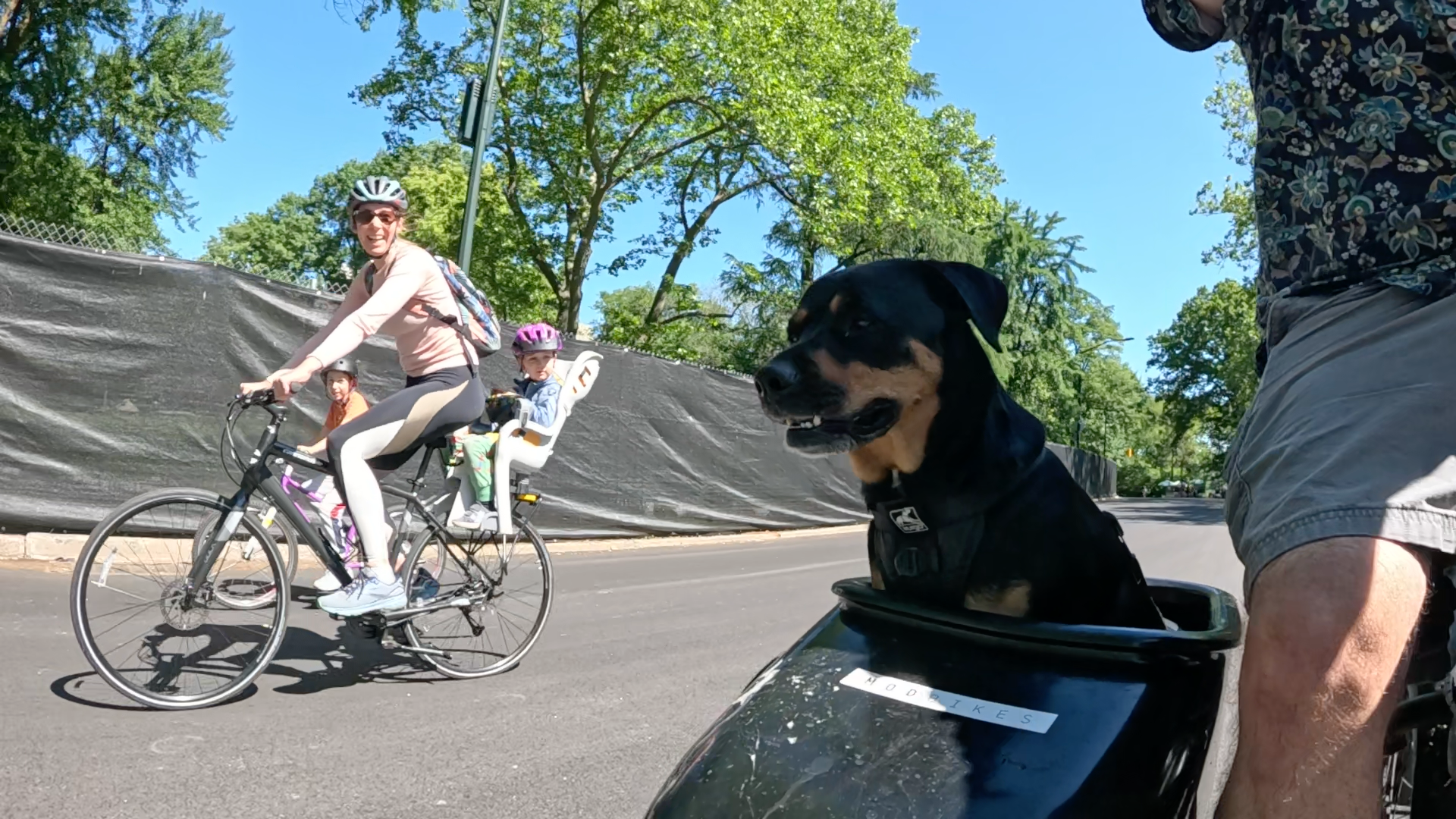 Patrol photo from Central Park on 2025-05-26