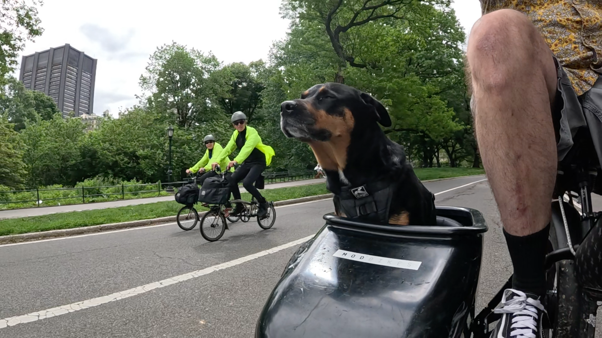 Patrol photo from Central Park on 2025-05-26