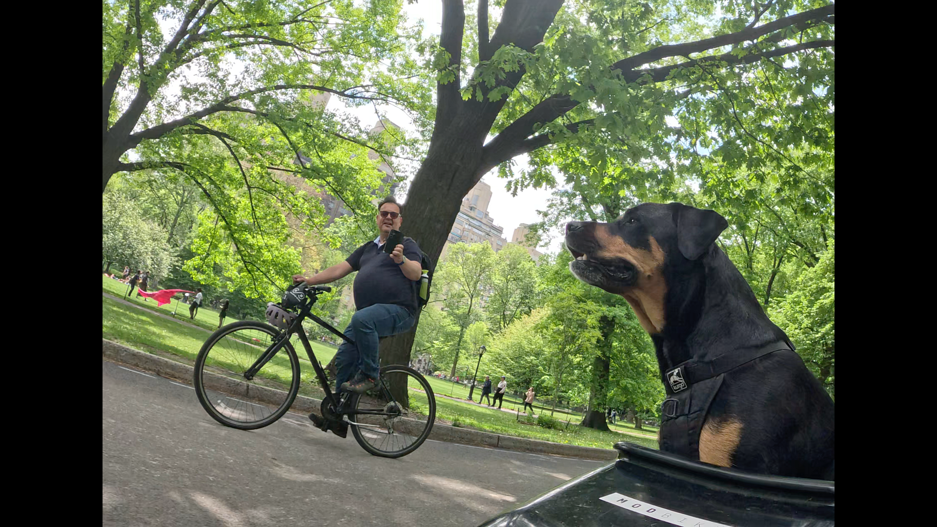 Patrol photo from Central Park on 2025-05-08