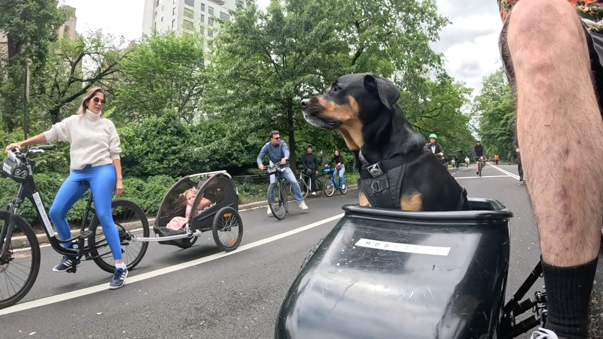 Patrol photo from Central Park on 2025-05-24