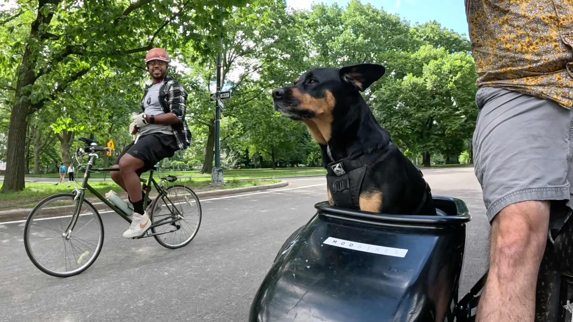 Patrol photo from Central Park on 2025-05-26