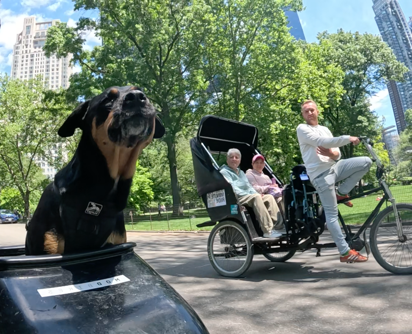 Patrol photo from Central Park on 2025-05-24