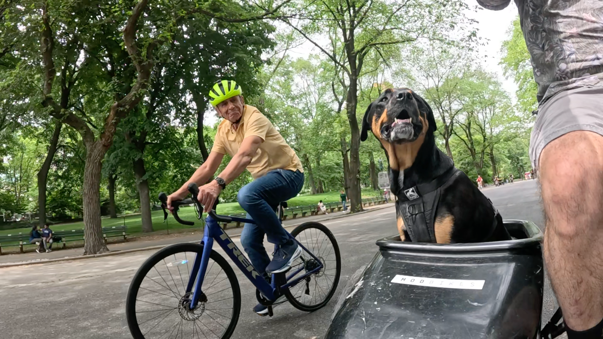 Patrol photo from Central Park on 2025-05-27