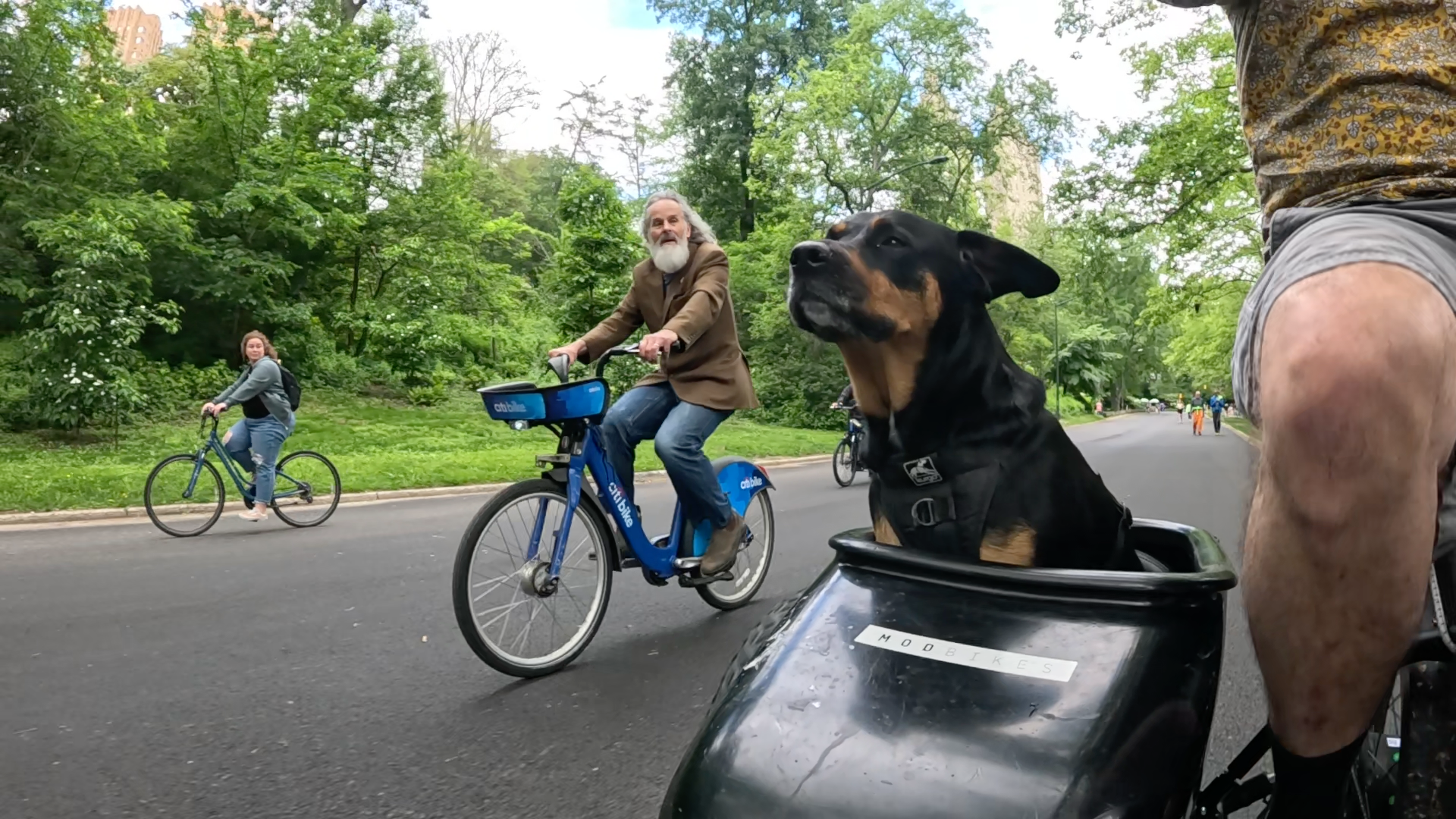 Patrol photo from Central Park on 2025-05-26