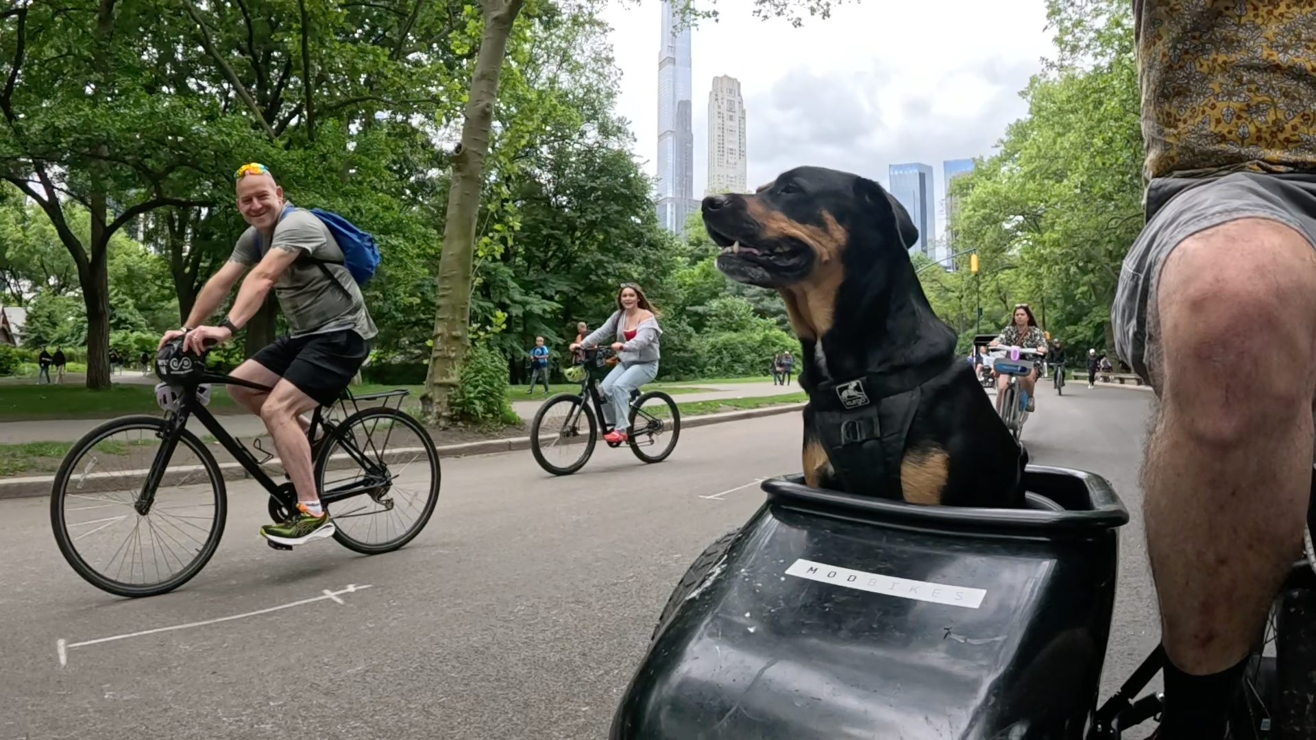 Patrol photo from Central Park on 2025-05-26