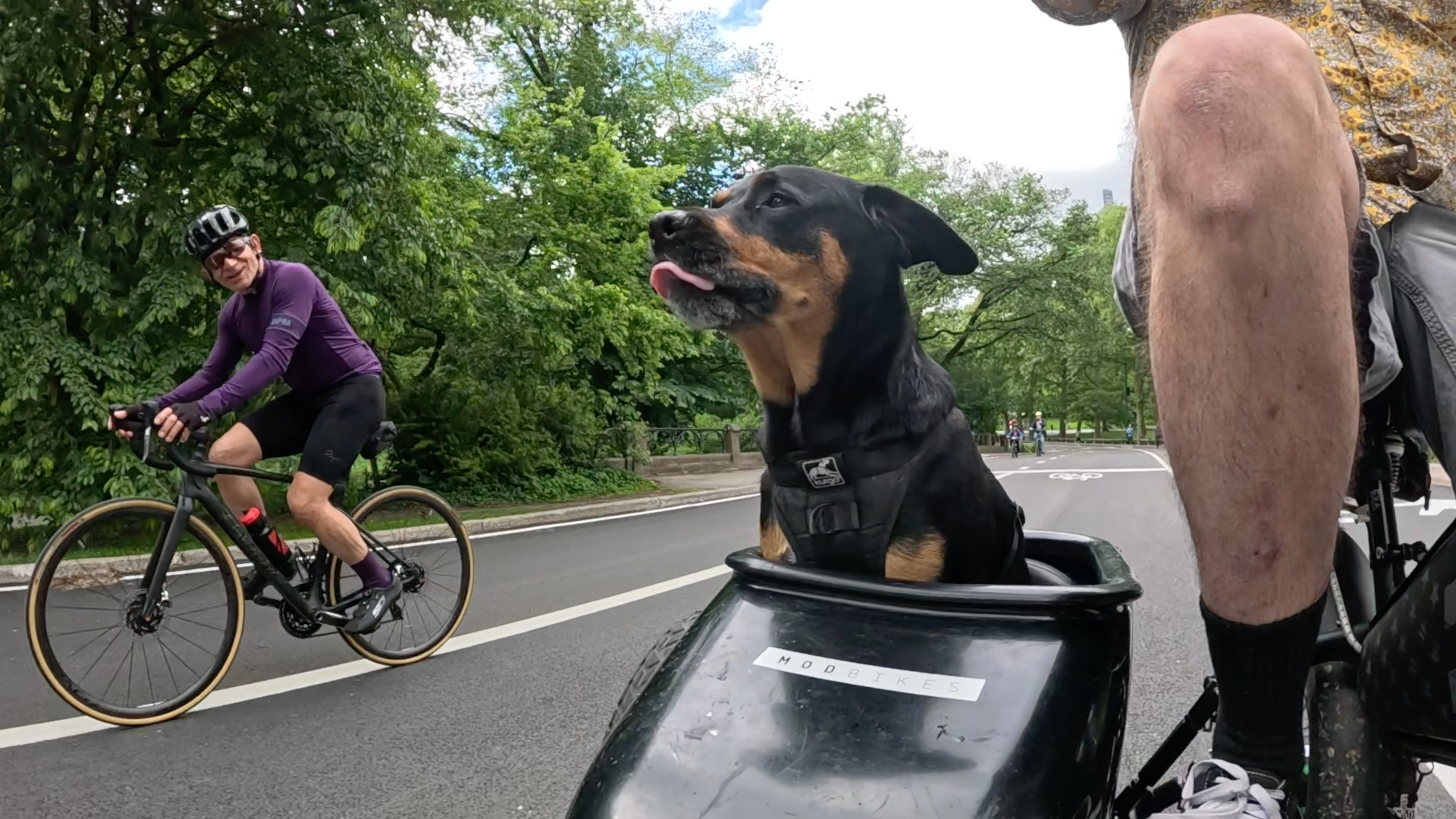 Patrol photo from Central Park on 2025-05-26