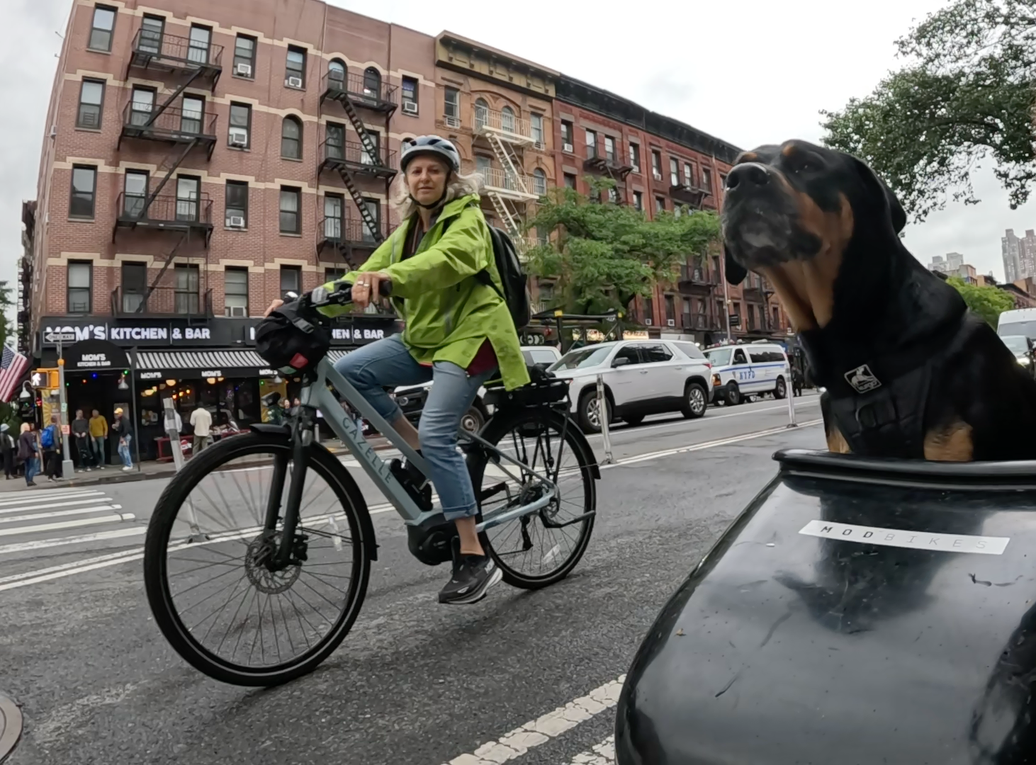 Patrol photo from Central Park on 2025-05-24