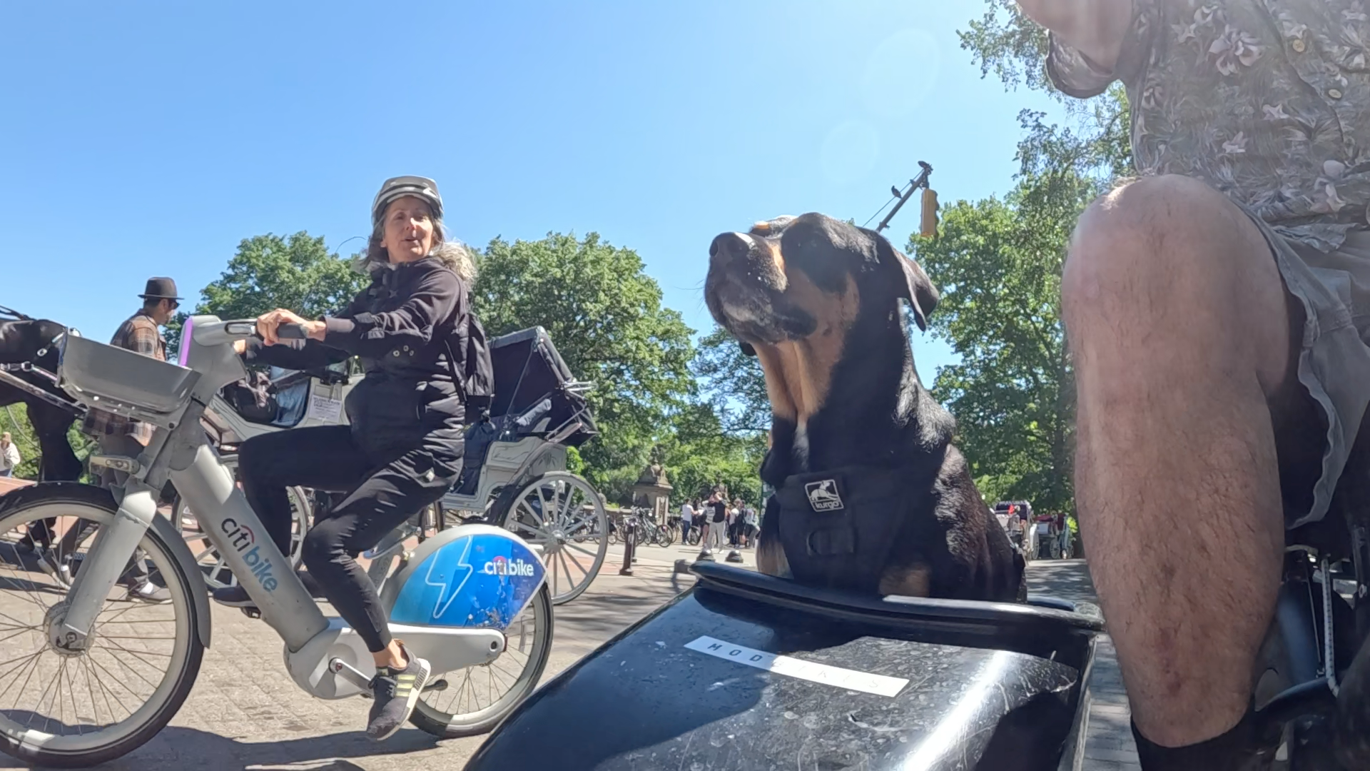 Patrol photo from Central Park on 2025-05-19