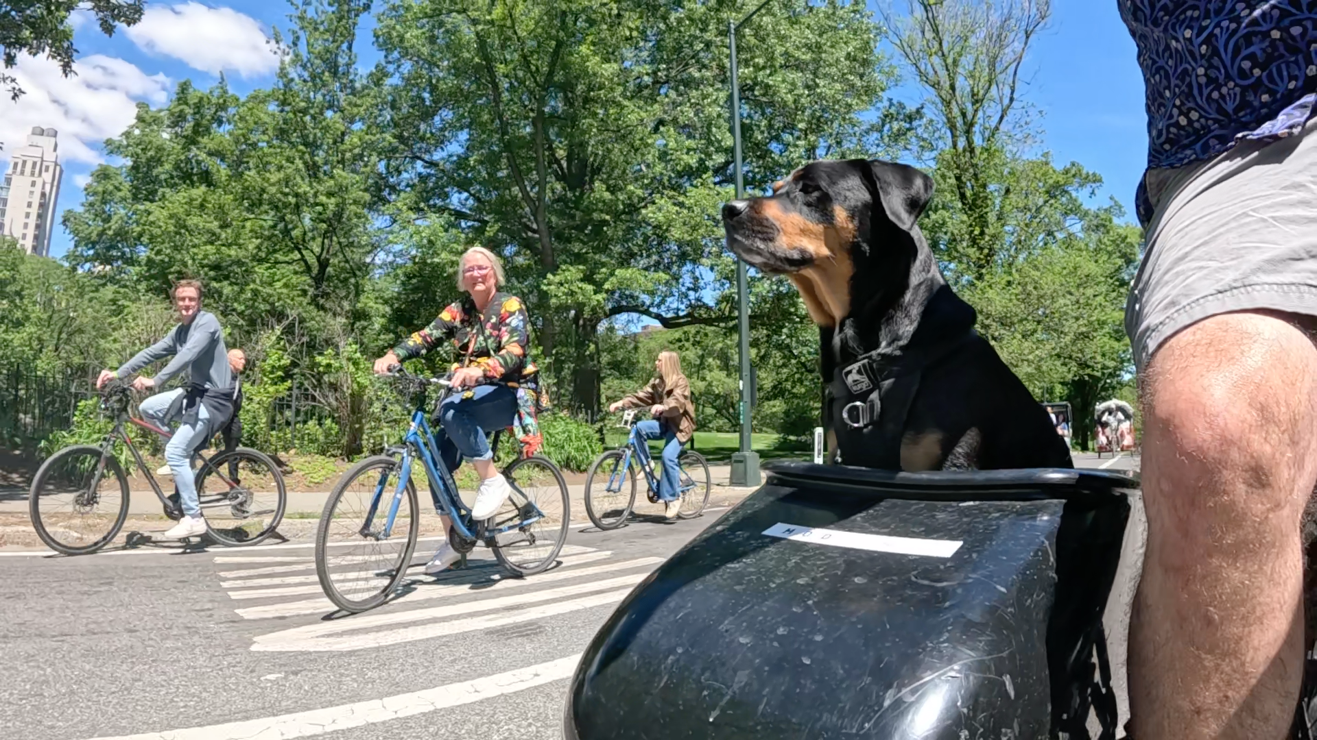 Patrol photo from Central Park on 2025-05-20