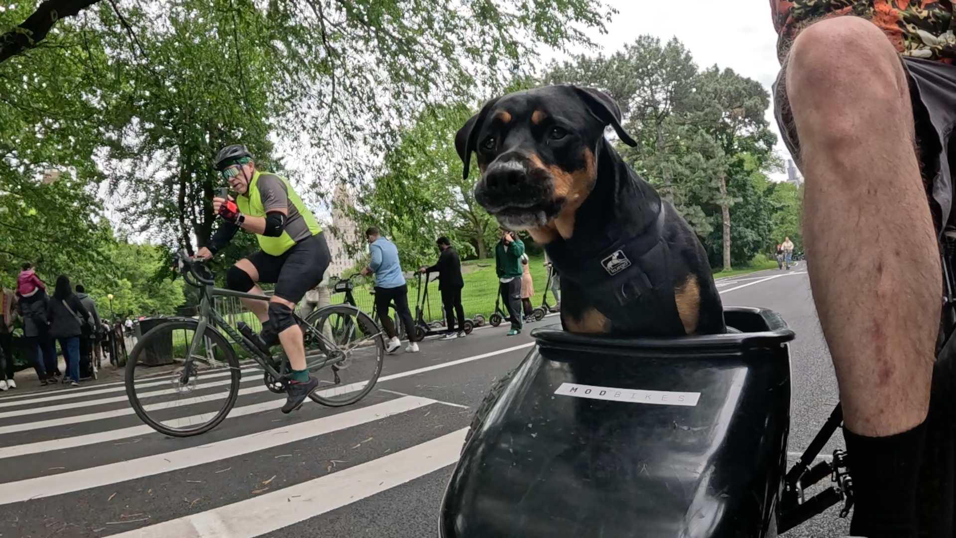 Patrol photo from Central Park on 2025-05-24