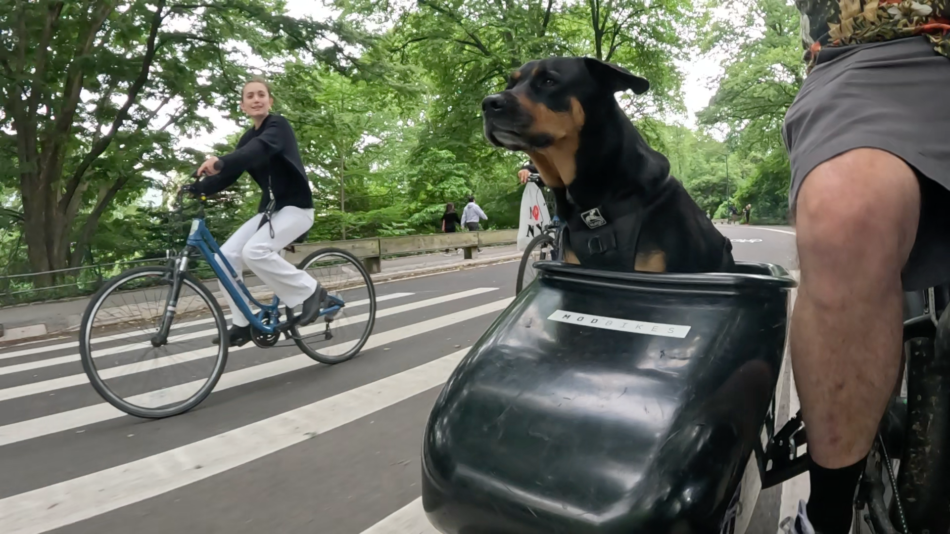 Patrol photo from Central Park on 2025-05-24