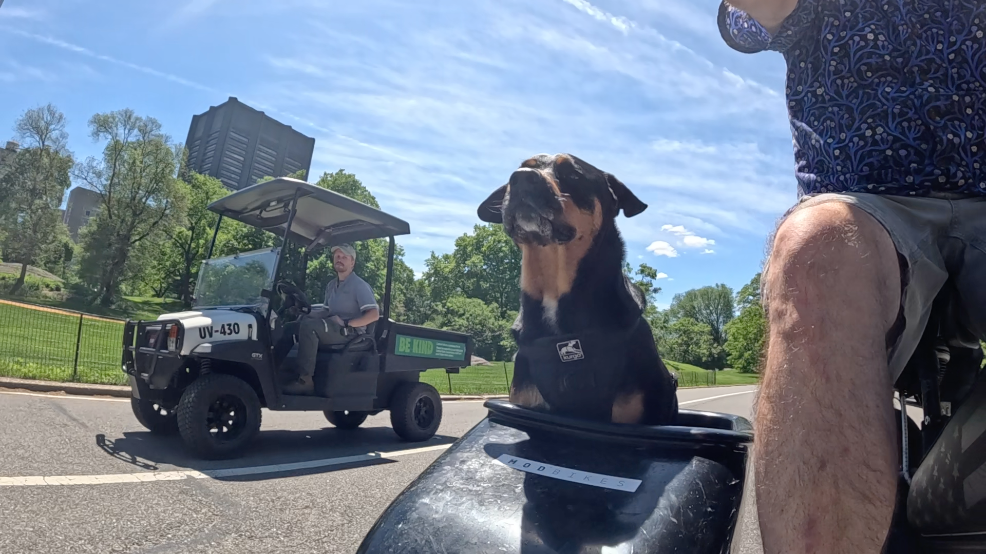 Patrol photo from Central Park on 2025-05-20