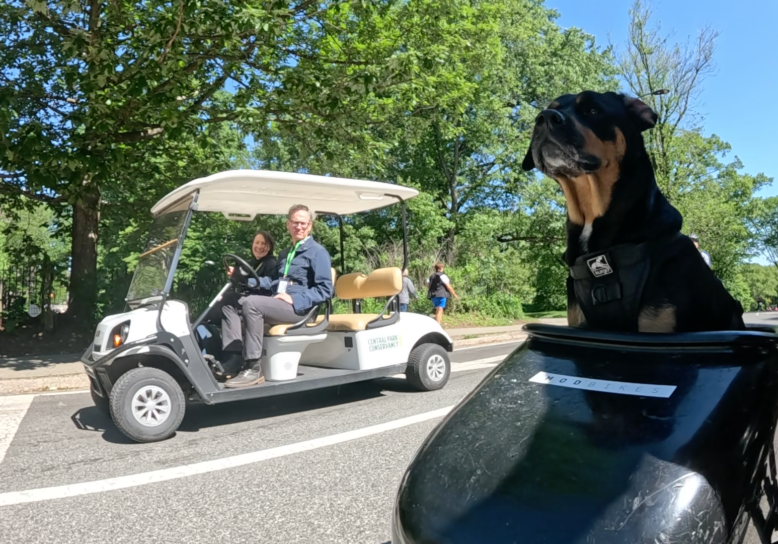 Patrol photo from Central Park on 2025-05-25
