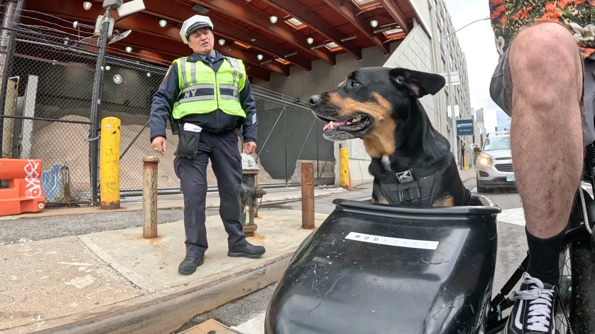 Patrol photo from Central Park on 2025-05-24