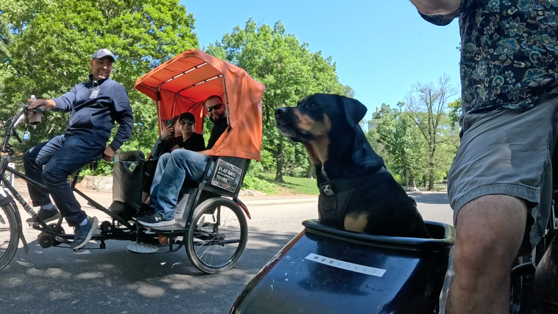 Patrol photo from Central Park on 2025-05-26