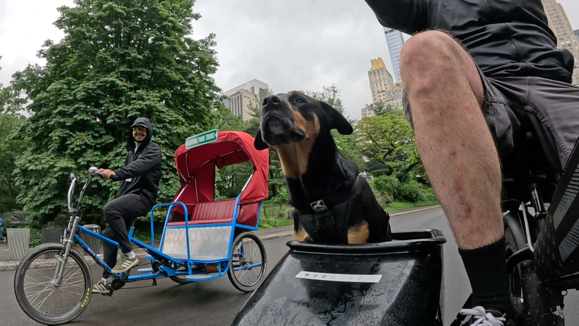 Patrol photo from Central Park on 2025-05-23