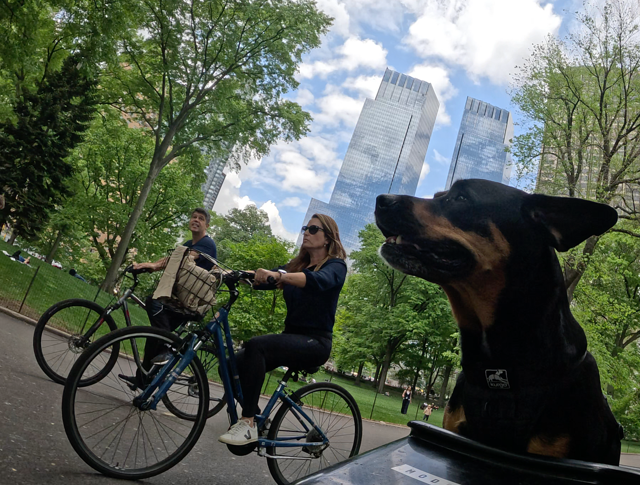Patrol photo from Central Park on 2025-05-10