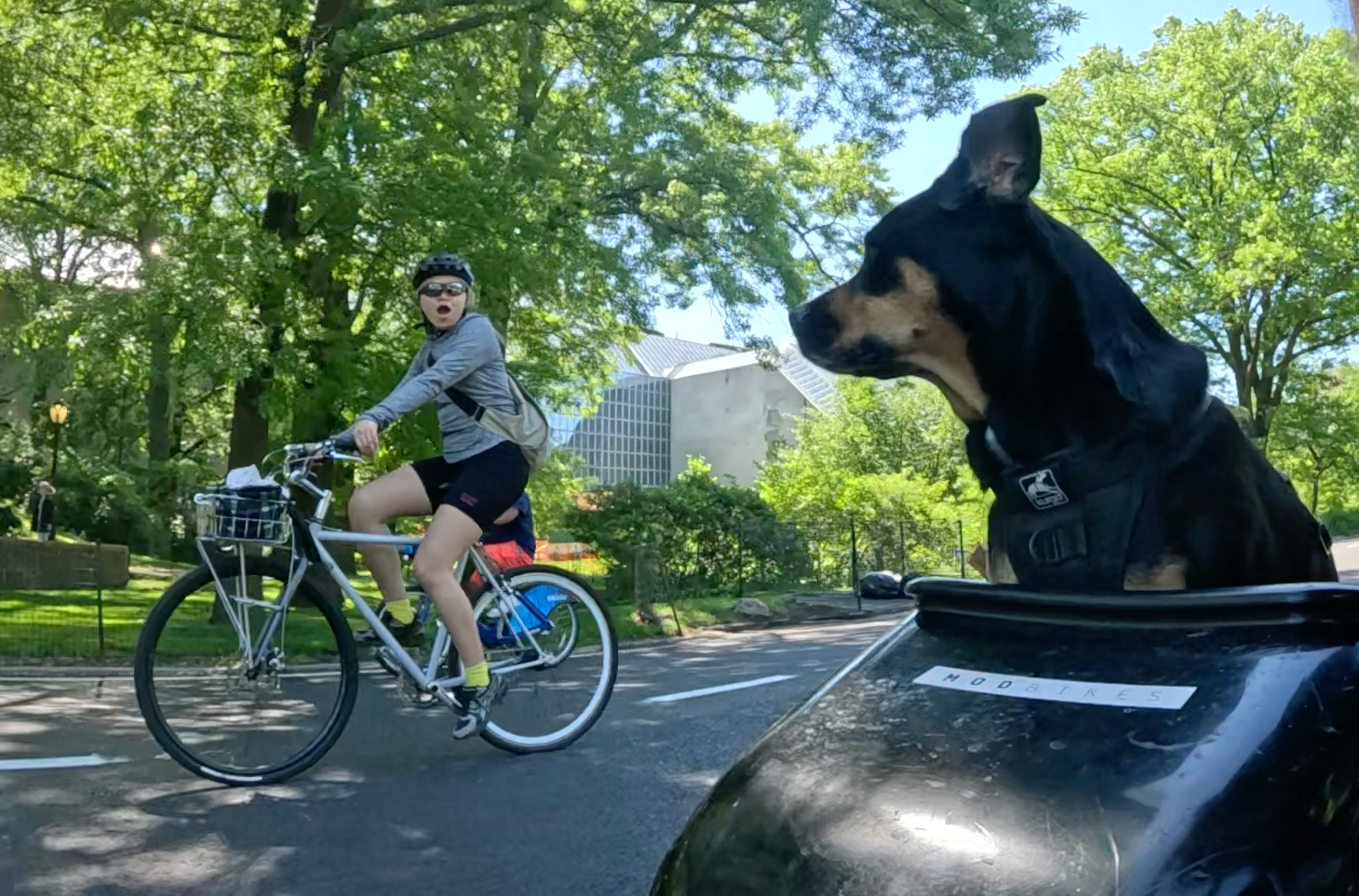 Patrol photo from Central Park on 2025-05-22