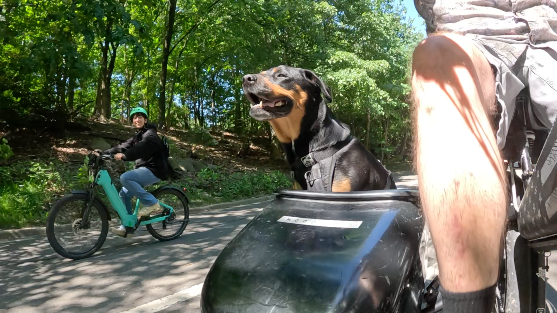 Patrol photo from Central Park on 2025-05-19