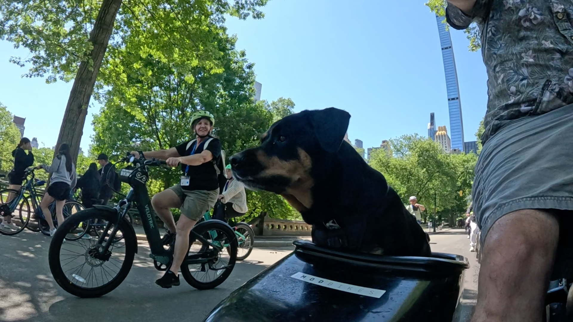 Patrol photo from Central Park on 2025-05-19