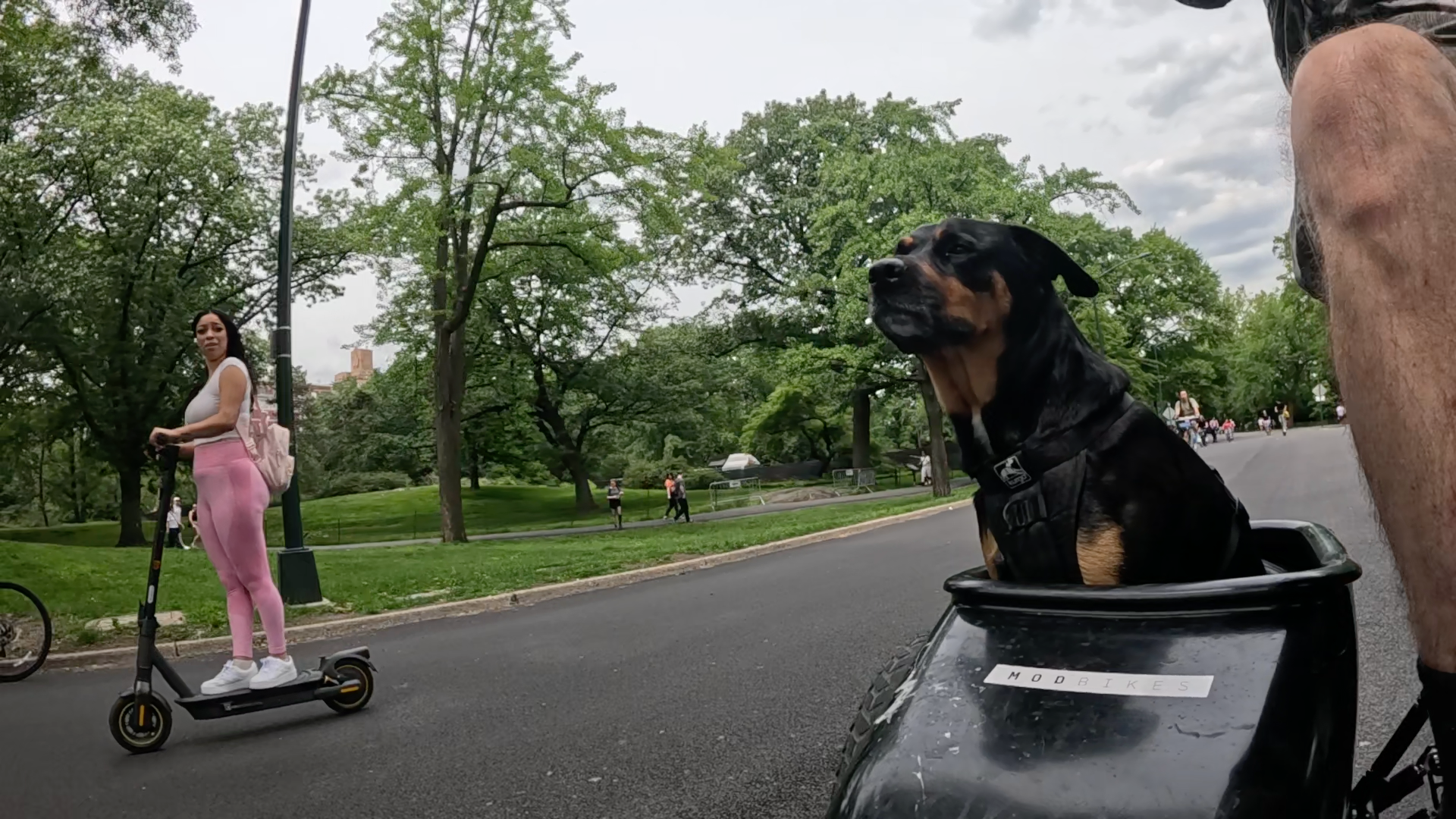 Patrol photo from Central Park on 2025-05-27