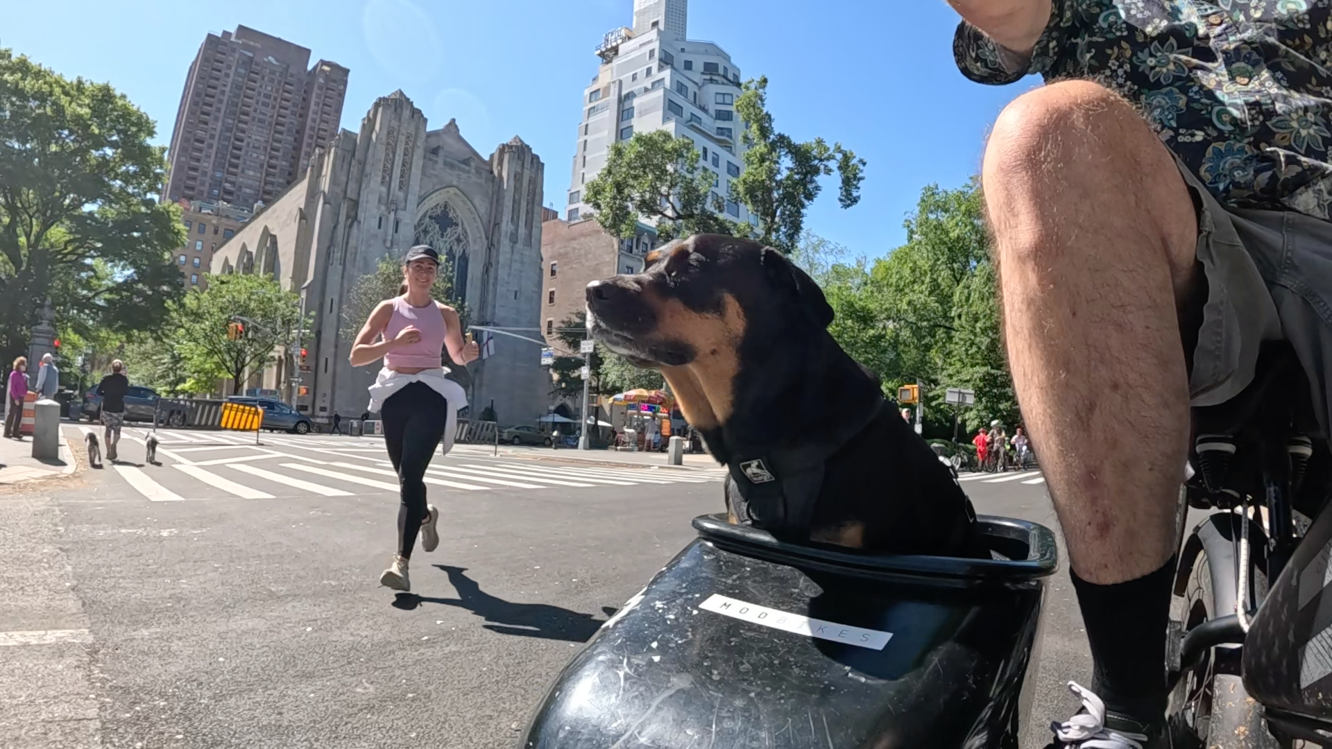 Patrol photo from Central Park on 2025-05-26