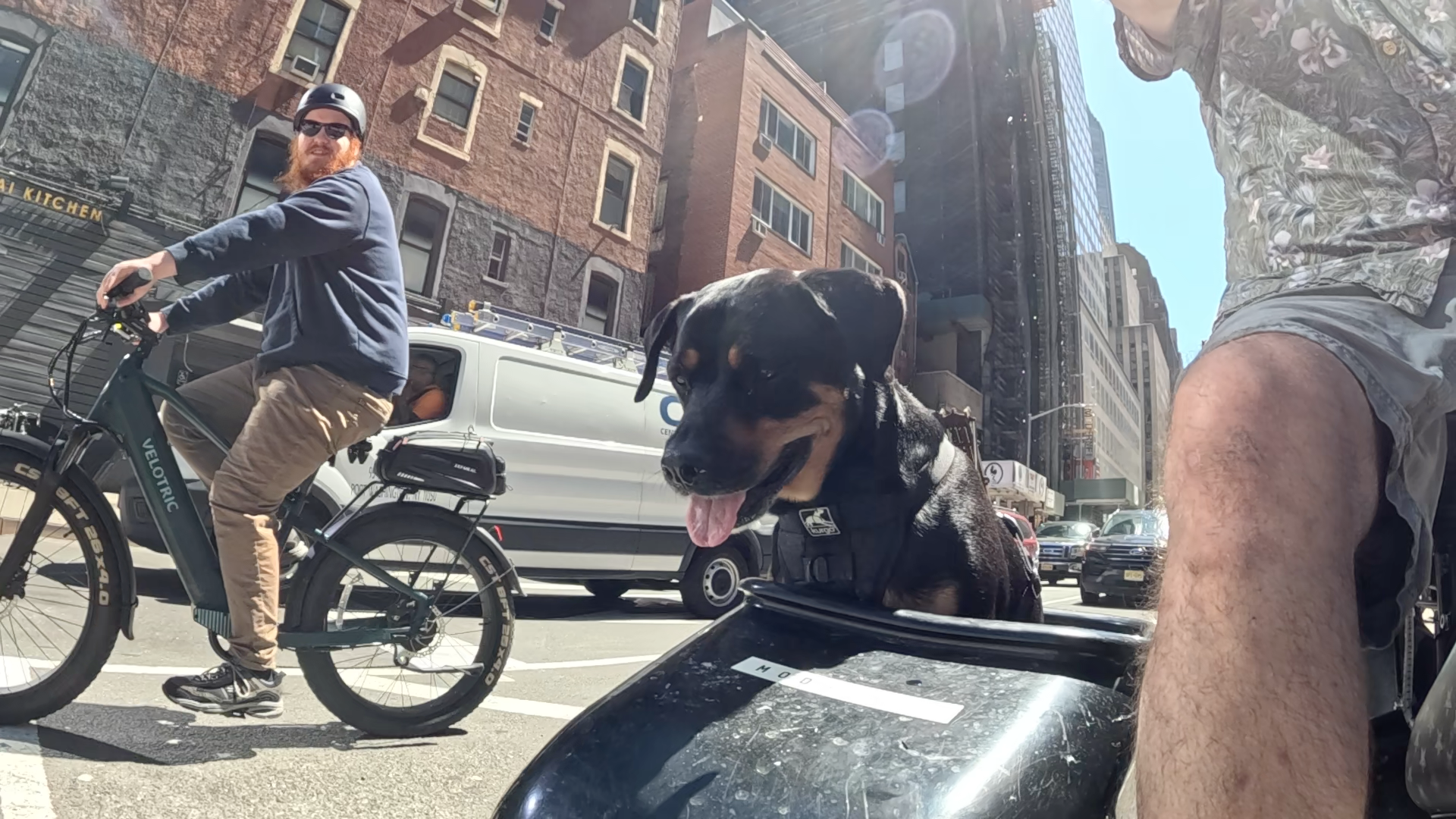 Patrol photo from Central Park on 2025-05-19