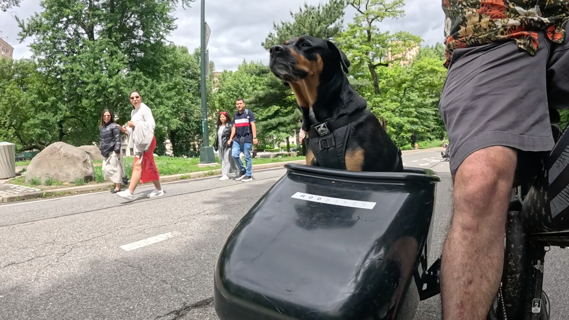 Patrol photo from Central Park on 2025-05-24