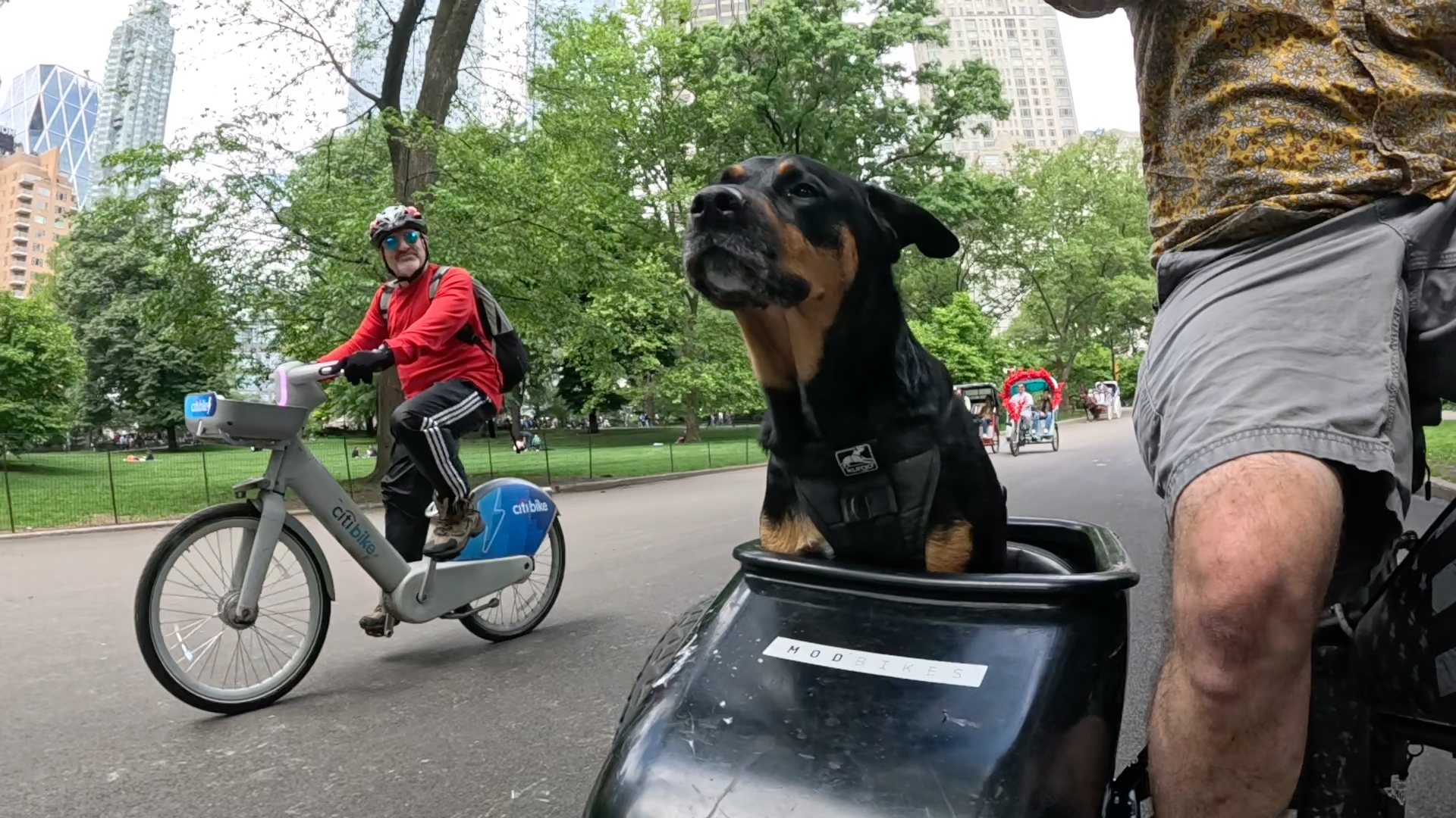 Patrol photo from Central Park on 2025-05-26