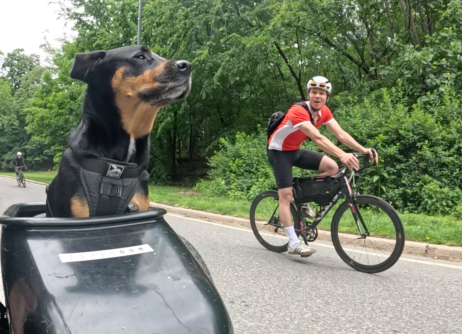 Patrol photo from Central Park on 2025-05-25