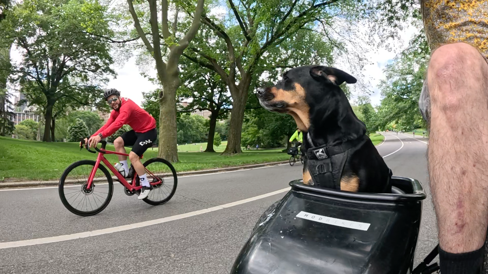 Patrol photo from Central Park on 2025-05-26