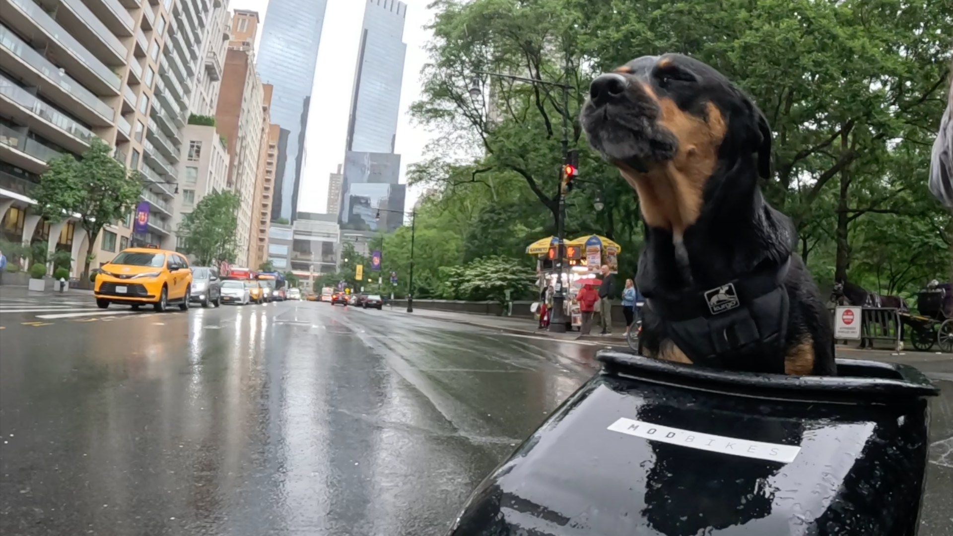 Patrol photo from Central Park on 2025-05-21