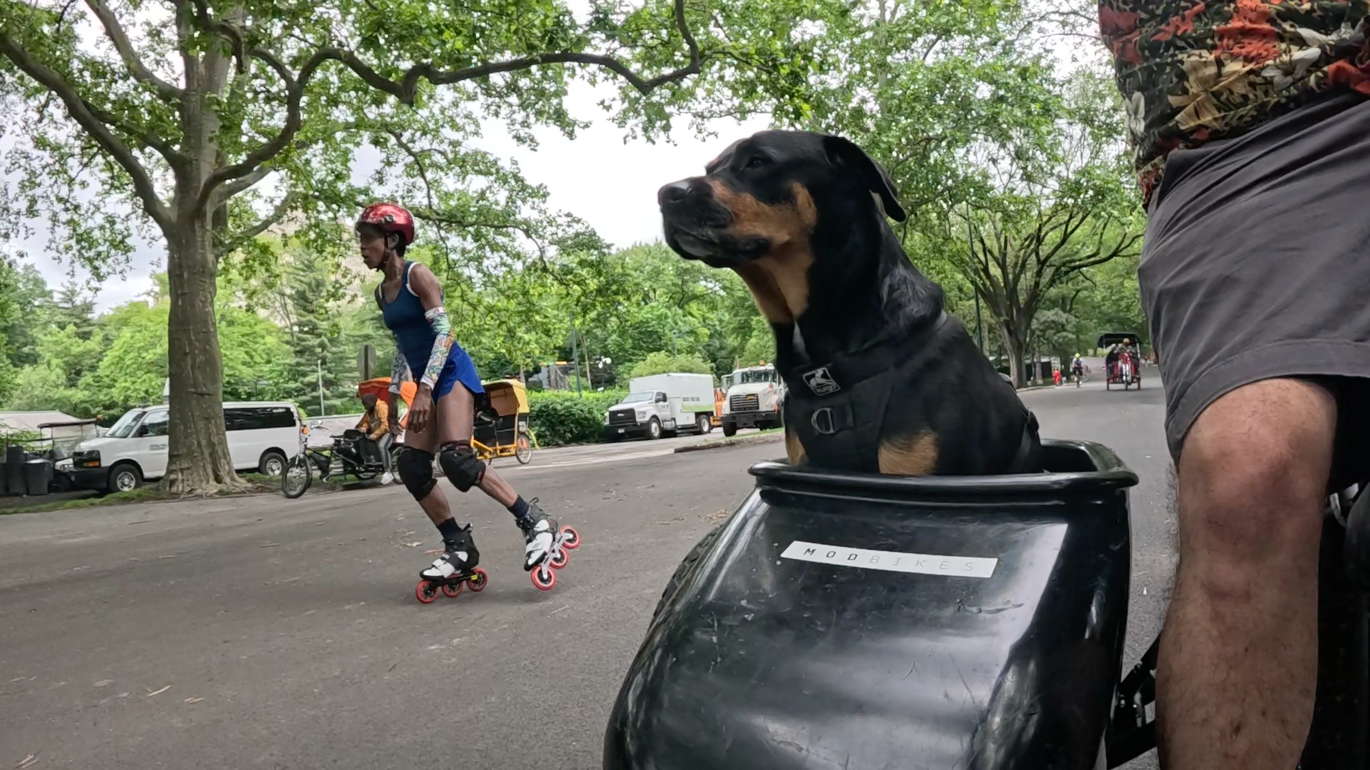 Patrol photo from Central Park on 2025-05-24