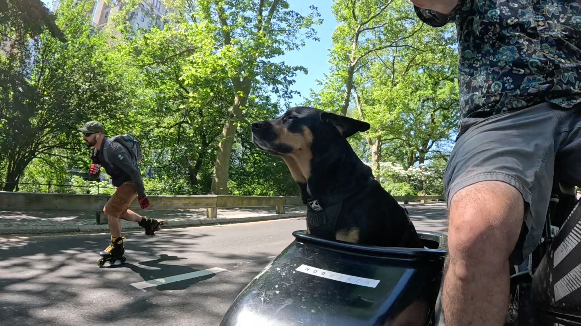 Patrol photo from Central Park on 2025-05-26