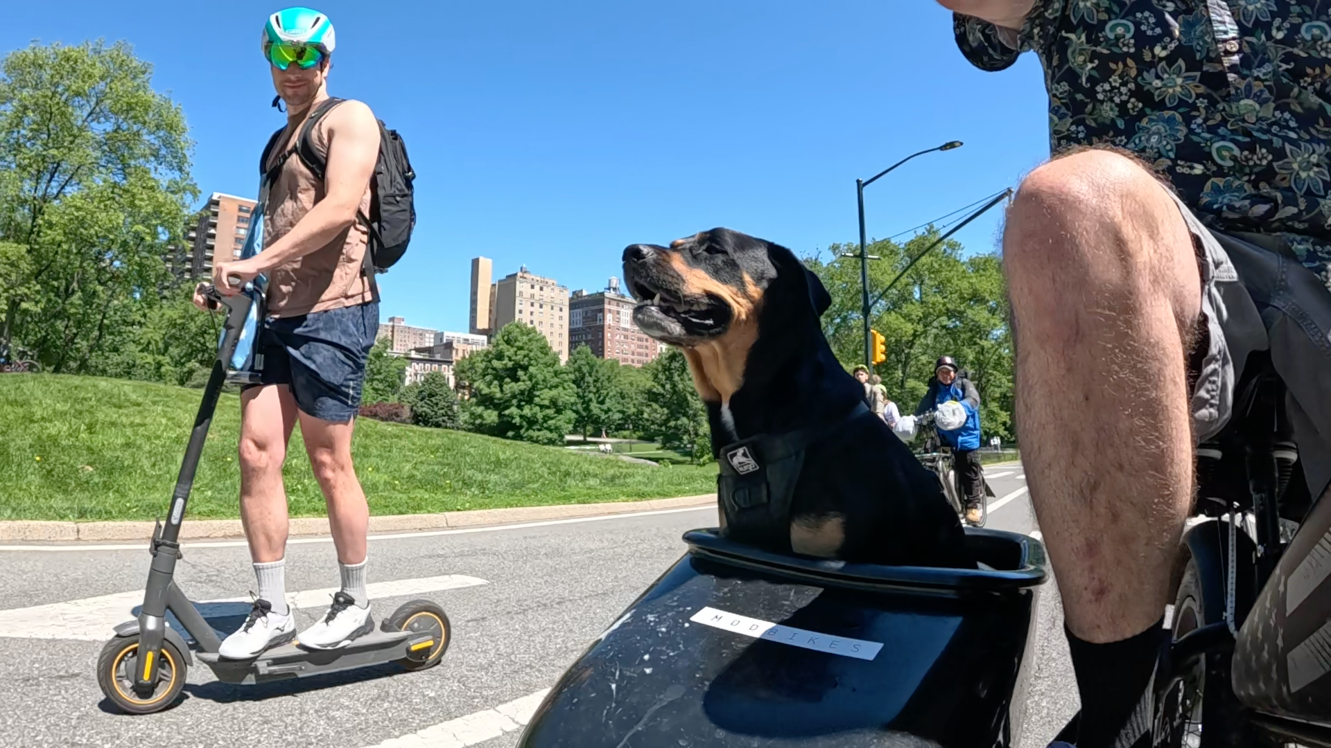 Patrol photo from Central Park on 2025-05-26