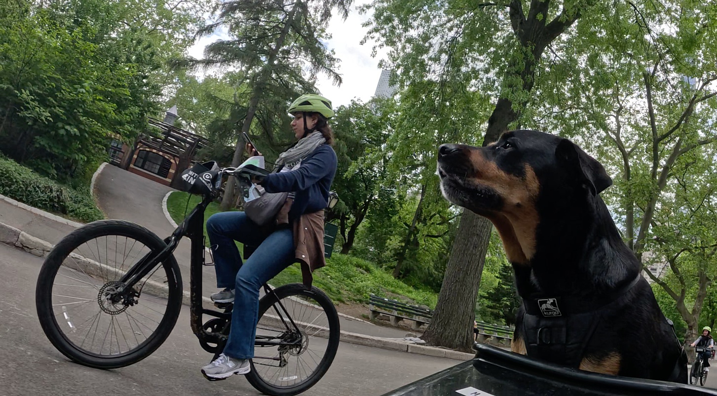 Patrol photo from Central Park on 2025-05-10T00:00:00.000Z